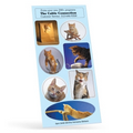 Animania Sticker Sheet w/ Cat Photos